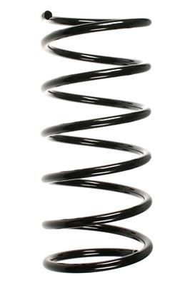 GKN-Spidan 55161 Suspension spring front 55161: Buy near me at 2407.PL in Poland at an Affordable price!