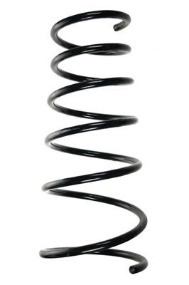 GKN-Spidan 55253 Suspension spring front 55253: Buy near me in Poland at 2407.PL - Good price!