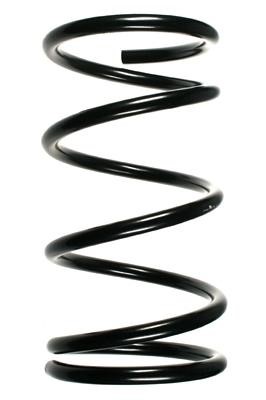 GKN-Spidan 55351 Suspension spring front 55351: Buy near me at 2407.PL in Poland at an Affordable price!