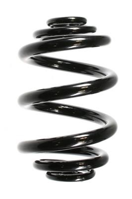 GKN-Spidan 55711 Coil Spring 55711: Buy near me at 2407.PL in Poland at an Affordable price!