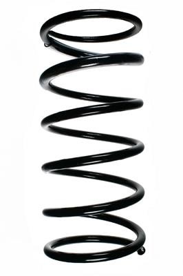 GKN-Spidan 55838 Coil Spring 55838: Buy near me in Poland at 2407.PL - Good price!