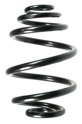 GKN-Spidan 55955 Coil Spring 55955: Buy near me at 2407.PL in Poland at an Affordable price!