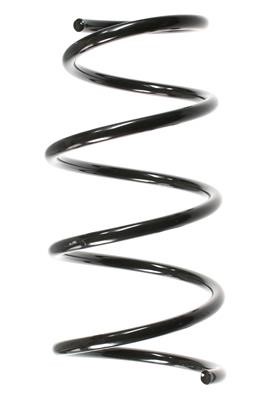 GKN-Spidan 56135 Suspension spring front 56135: Buy near me at 2407.PL in Poland at an Affordable price!
