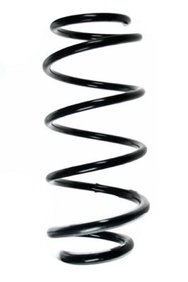 GKN-Spidan 56194 Suspension spring front 56194: Buy near me at 2407.PL in Poland at an Affordable price!
