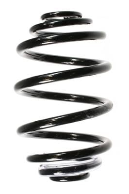 GKN-Spidan 56725 Coil Spring 56725: Buy near me at 2407.PL in Poland at an Affordable price!