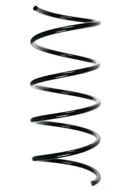 GKN-Spidan 85197 Suspension spring front 85197: Buy near me at 2407.PL in Poland at an Affordable price!
