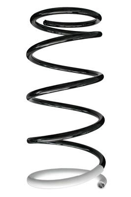 GKN-Spidan 85245 Suspension spring front 85245: Buy near me at 2407.PL in Poland at an Affordable price!
