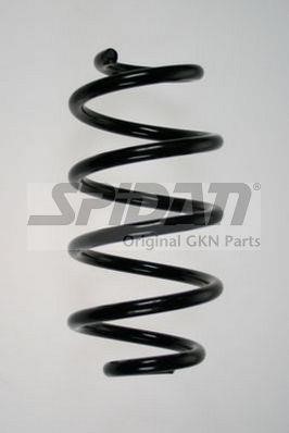 GKN-Spidan 85971 Coil Spring 85971: Buy near me in Poland at 2407.PL - Good price!