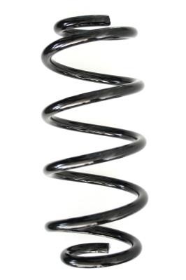 GKN-Spidan 86519 Suspension spring front 86519: Buy near me at 2407.PL in Poland at an Affordable price!