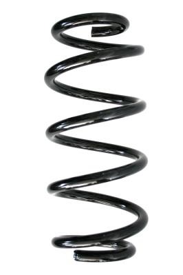 GKN-Spidan 86520 Suspension spring front 86520: Buy near me in Poland at 2407.PL - Good price!