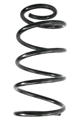 GKN-Spidan 86666 Suspension spring front 86666: Buy near me at 2407.PL in Poland at an Affordable price!