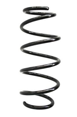 GKN-Spidan 86696 Suspension spring front 86696: Buy near me in Poland at 2407.PL - Good price!