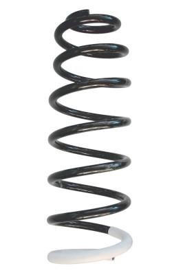 GKN-Spidan 86716 Coil Spring 86716: Buy near me at 2407.PL in Poland at an Affordable price!