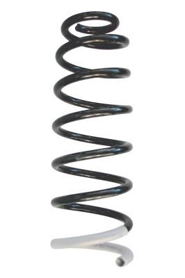 GKN-Spidan 86718 Coil Spring 86718: Buy near me in Poland at 2407.PL - Good price!