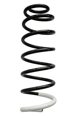GKN-Spidan 86807 Coil Spring 86807: Buy near me at 2407.PL in Poland at an Affordable price!