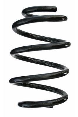 GKN-Spidan 86978 Suspension spring front 86978: Buy near me at 2407.PL in Poland at an Affordable price!