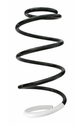 GKN-Spidan 87245 Suspension spring front 87245: Buy near me in Poland at 2407.PL - Good price!