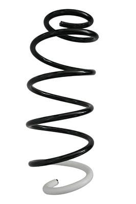 GKN-Spidan 87356 Suspension spring front 87356: Buy near me at 2407.PL in Poland at an Affordable price!