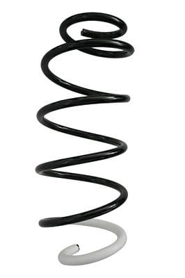 GKN-Spidan 87356 Suspension spring front 87356: Buy near me in Poland at 2407.PL - Good price!