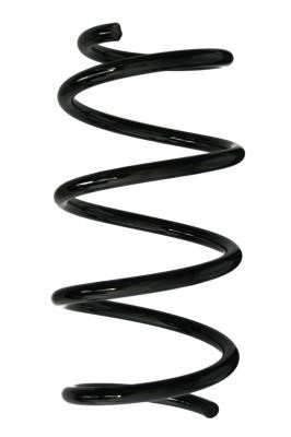 GKN-Spidan 88099 Suspension spring front 88099: Buy near me at 2407.PL in Poland at an Affordable price!