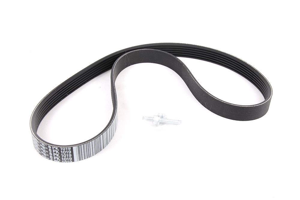 Ford 1 830 909 V-Ribbed Belt 1830909: Buy near me at 2407.PL in Poland at an Affordable price!