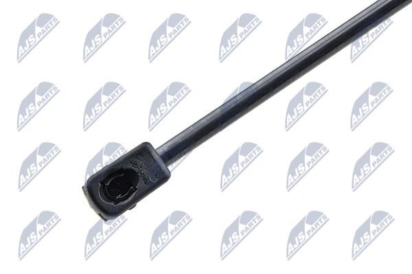 Hood shock absorber NTY AE-AU-052