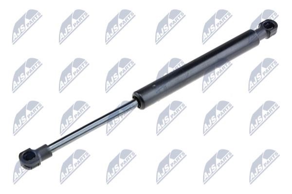 NTY AE-AR-000 Gas Spring, boot-/cargo area AEAR000: Buy near me in Poland at 2407.PL - Good price!