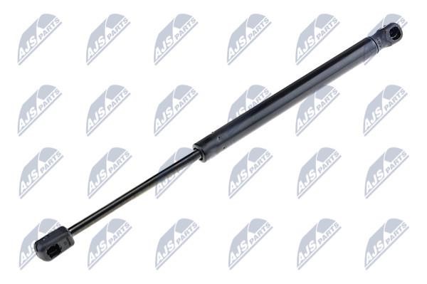 NTY AE-AR-001 Gas Spring, boot-/cargo area AEAR001: Buy near me in Poland at 2407.PL - Good price!