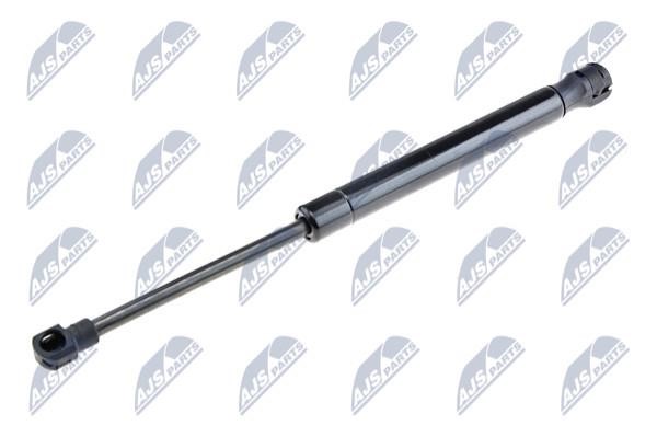 NTY AE-AR-002 Gas Spring, boot-/cargo area AEAR002: Buy near me in Poland at 2407.PL - Good price!