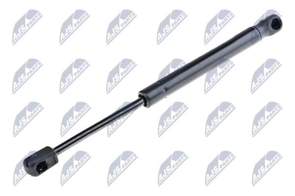 NTY AE-AR-004 Gas Spring, boot-/cargo area AEAR004: Buy near me in Poland at 2407.PL - Good price!