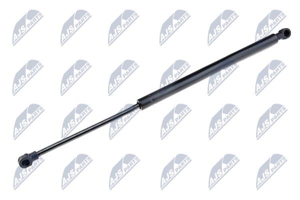 NTY AE-AR-010 Gas Spring, boot-/cargo area AEAR010: Buy near me in Poland at 2407.PL - Good price!