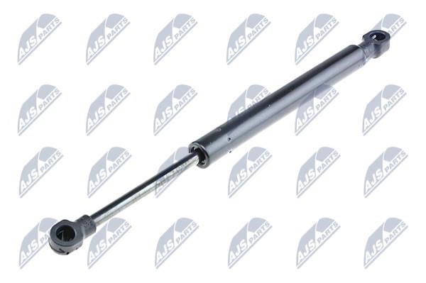 NTY AE-AR-011 Gas Spring, boot-/cargo area AEAR011: Buy near me in Poland at 2407.PL - Good price!