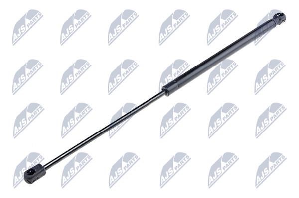 NTY AE-AR-013 Gas Spring, boot-/cargo area AEAR013: Buy near me in Poland at 2407.PL - Good price!