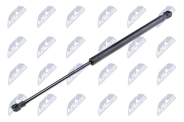 NTY AE-AR-015 Gas Spring, boot-/cargo area AEAR015: Buy near me in Poland at 2407.PL - Good price!