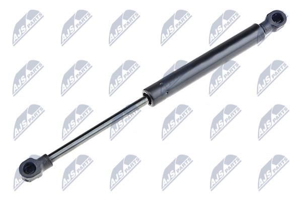 NTY AE-AR-019 Gas Spring, boot-/cargo area AEAR019: Buy near me in Poland at 2407.PL - Good price!