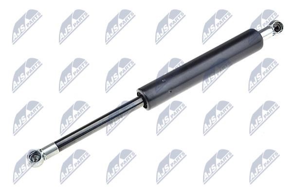 NTY AE-AR-020 Gas Spring, boot-/cargo area AEAR020: Buy near me in Poland at 2407.PL - Good price!
