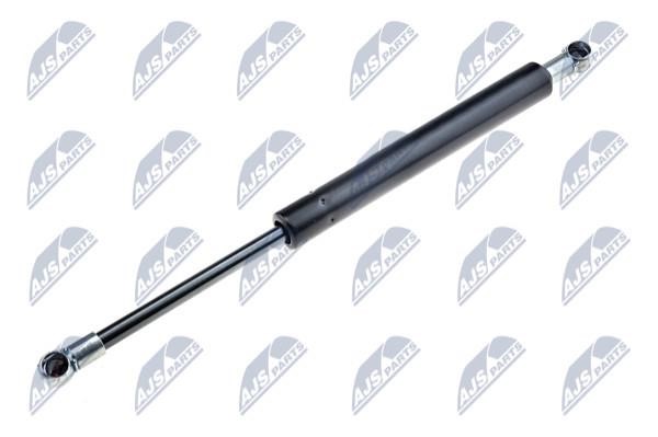 NTY AE-AU-007 Gas Spring, boot-/cargo area AEAU007: Buy near me in Poland at 2407.PL - Good price!