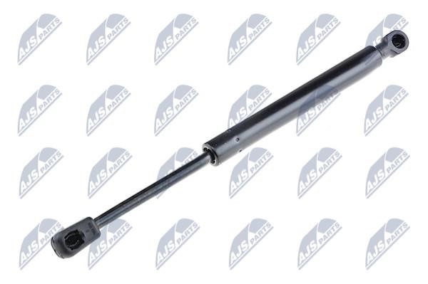 NTY AE-AU-010 Gas Spring, boot-/cargo area AEAU010: Buy near me in Poland at 2407.PL - Good price!