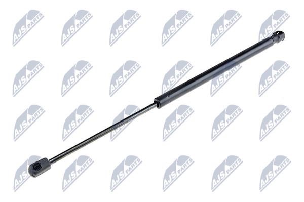 NTY AE-AU-017 Gas Spring, boot-/cargo area AEAU017: Buy near me in Poland at 2407.PL - Good price!