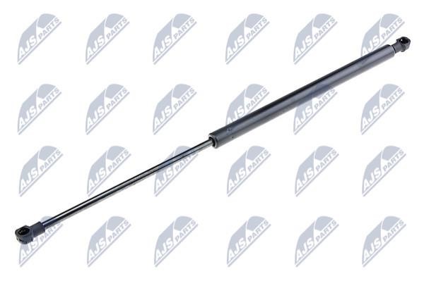 NTY AE-AU-020 Gas Spring, boot-/cargo area AEAU020: Buy near me in Poland at 2407.PL - Good price!