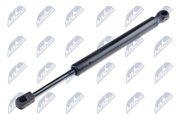 NTY AE-AU-021 Gas Spring, boot-/cargo area AEAU021: Buy near me in Poland at 2407.PL - Good price!