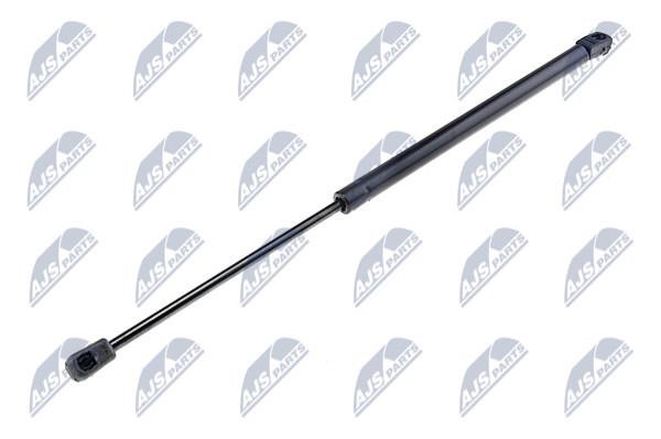 NTY AE-AU-025 Gas Spring, boot-/cargo area AEAU025: Buy near me in Poland at 2407.PL - Good price!