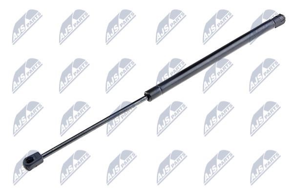 NTY AE-AU-030 Gas Spring, boot-/cargo area AEAU030: Buy near me in Poland at 2407.PL - Good price!