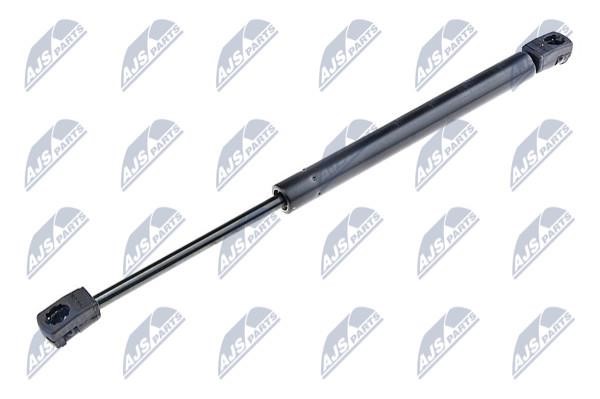 NTY AE-AU-034 Gas Spring, boot-/cargo area AEAU034: Buy near me in Poland at 2407.PL - Good price!