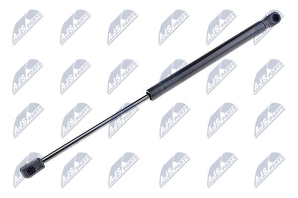 NTY AE-AU-050 Gas Spring, boot-/cargo area AEAU050: Buy near me in Poland at 2407.PL - Good price!