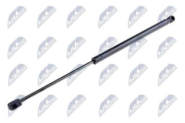 NTY AE-AU-053 Gas Spring, boot-/cargo area AEAU053: Buy near me in Poland at 2407.PL - Good price!
