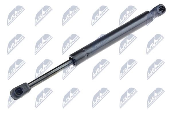 NTY AE-AU-060 Gas Spring, boot-/cargo area AEAU060: Buy near me in Poland at 2407.PL - Good price!