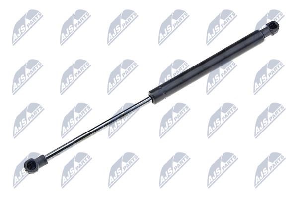 NTY AE-AU-063 Gas Spring, boot-/cargo area AEAU063: Buy near me in Poland at 2407.PL - Good price!