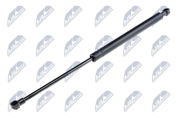 NTY AE-AU-073 Gas Spring, boot-/cargo area AEAU073: Buy near me in Poland at 2407.PL - Good price!