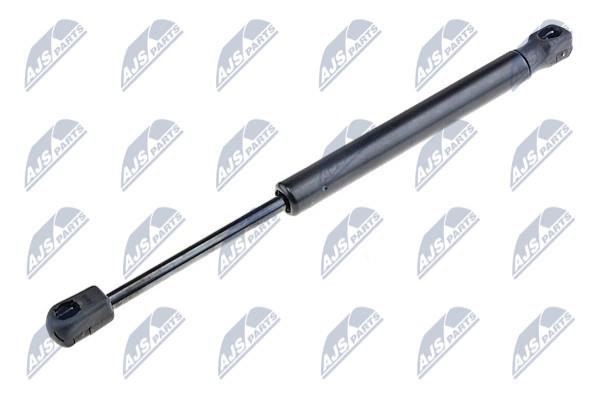 NTY AE-AU-075 Gas Spring, boot-/cargo area AEAU075: Buy near me in Poland at 2407.PL - Good price!